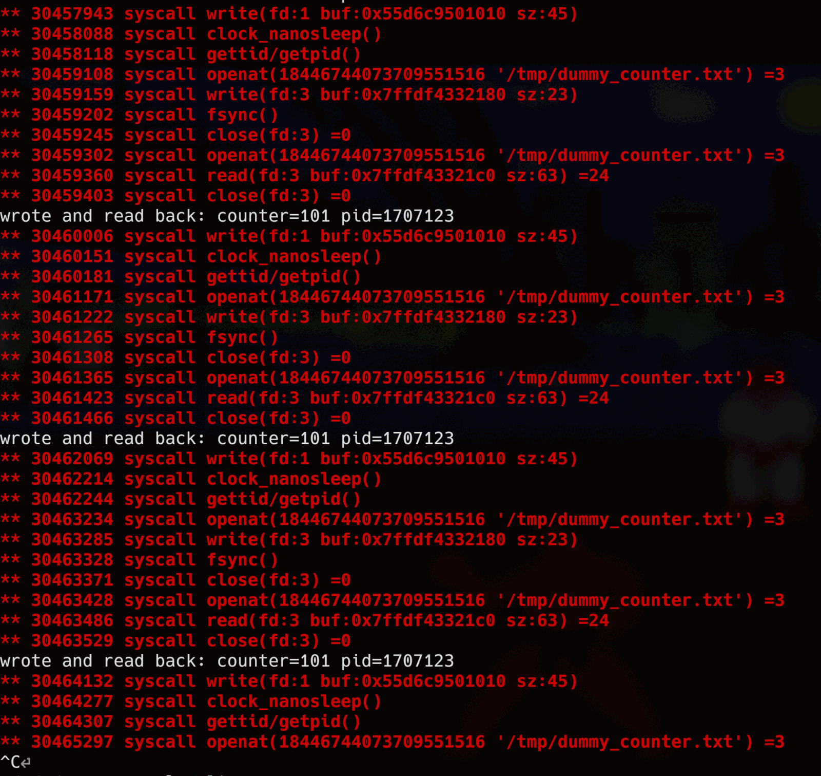 Terminal showing mwemu replaying the cloned process's real open/write/fsync/close/read/close syscall sequence in red, and its own printf output in white — three separate loop iterations each printing the identical line 'wrote and read back: counter=101 pid=1707123', instruction counts in the tens of millions climbing between them while the counter never changes, until the trace is interrupted with Ctrl-C.